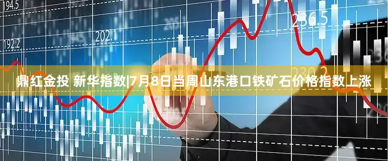 鼎红金投 新华指数|7月8日当周山东港口铁矿石价格指数上涨