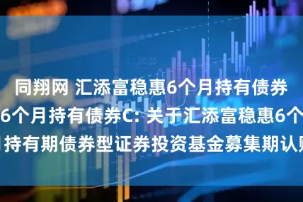 同翔网 汇添富稳惠6个月持有债券A,汇添富稳惠6个月持有债券C: 关于汇添富稳惠6个月持有期债券型证券投资基金募集期认购申请确认比例的公告