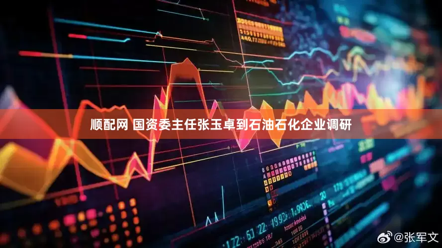 顺配网 国资委主任张玉卓到石油石化企业调研
